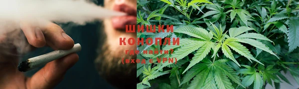 гашик Алзамай